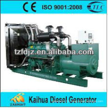 350KW Wudong Diesel Generator Set